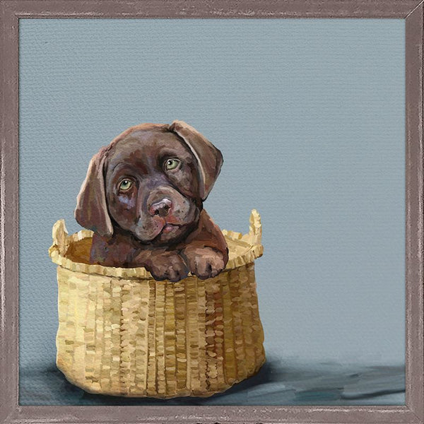 Chocolate Pup In A Basket, Mini Framed Canvas